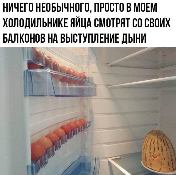 ظ -   )