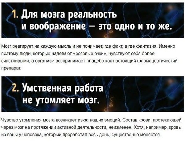 мы даже не догадываемся о работе и способностях нашего мозга
