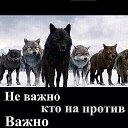 ���� ������, ������, 47 ��� - ��������� 2 ������� 2020 � ������ ���� ����������