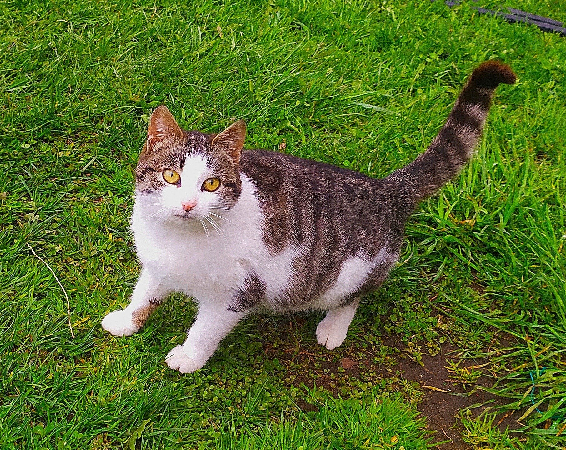   - 17  2020  21:02 - 5