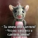 ���� �������, �����-���������, 52 ���� - ��������� 13 ������ 2020 � ������ ������ ��������