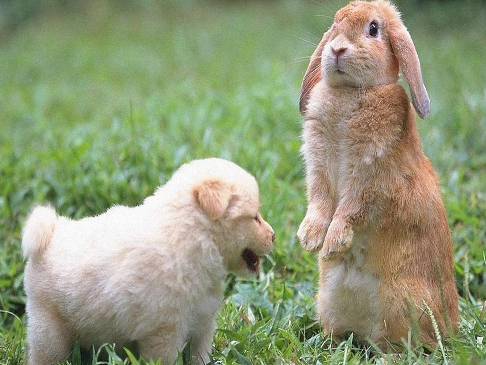 ������ - 22 ������ 2020 � 20:50