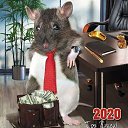 ���� ����, ������� - ��������� 27 ������ 2020 � ������ ���� ����������