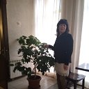 ���� �������, ������������ - ��������� 26 ������� 2020 � ������ ���� ����������