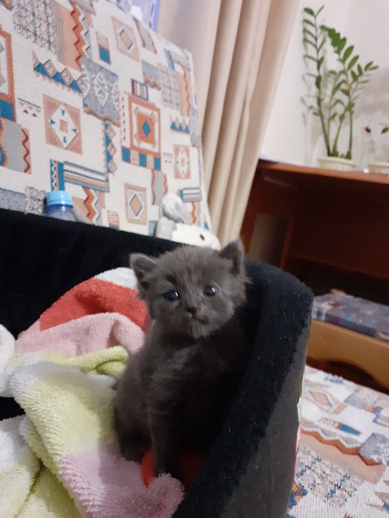 #_.     .      .  ... - 3