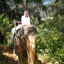 ������� 2019 �� ������� ���� ����������