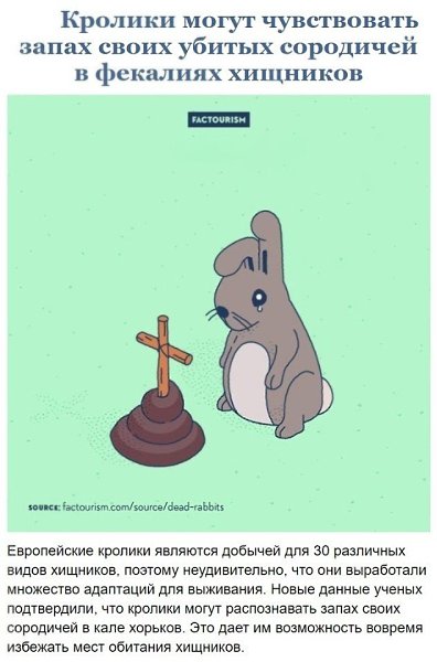 oopa eecx ao o ae pe - 4