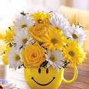  , -, 55  -  22  2020    