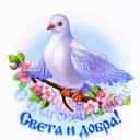 ���� Ashhen, �����, 68 ��� - ��������� 7 ������ 2020 � ������ ���� ����������