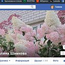  Galina, , 71  -  16  2020    