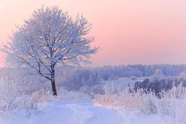 ������ ������� ������ | ����������� - 24 ����� 2020 � 19:06