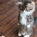 ���� �����, �����, 47 ��� - ��������� 23 ������ 2020 � ������ ���� ����������