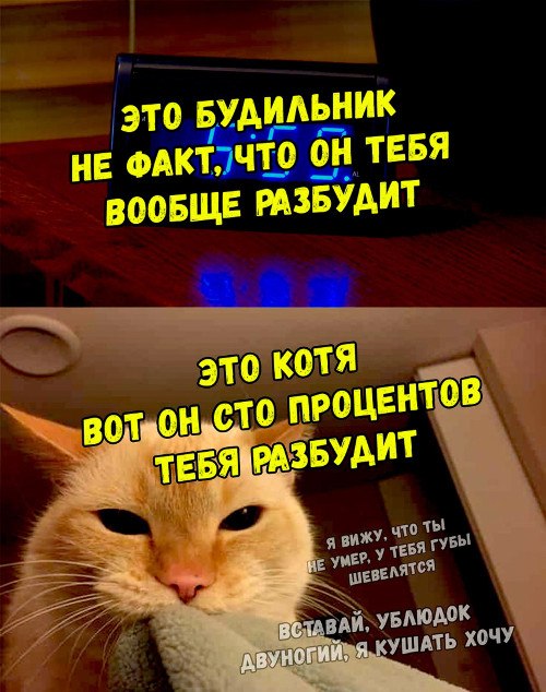   - 13  2020  14:02