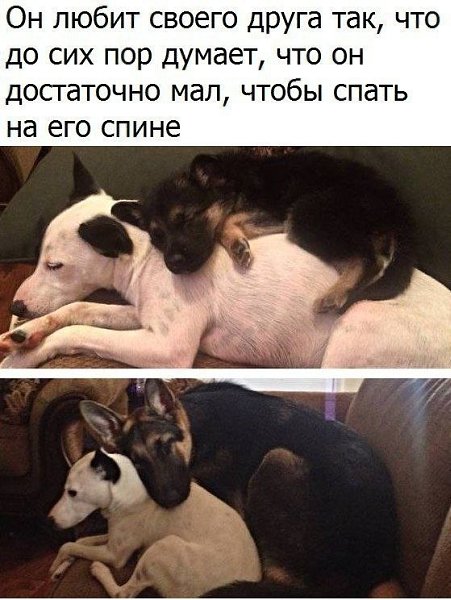 ������� - 14 ����� 2020 � 18:31