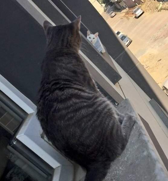 , 