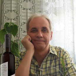 Vlad, 62 , 