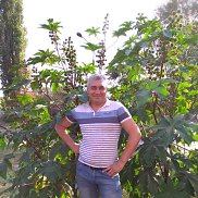 ����, 45 ���, �������