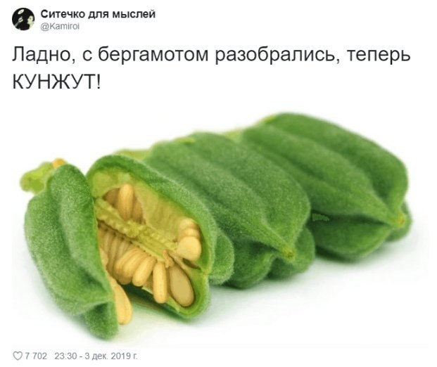 �a���p�e� �p������.���������� ��������� - 2