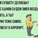 ���� ������, �������, 56 ��� - ��������� 2 ���� 2020 � ������ ������ ��������