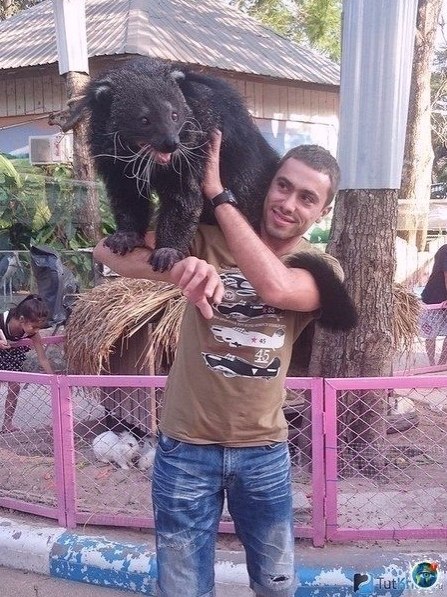 p   ec   ,    e? - 2