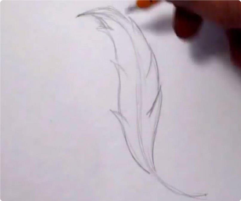 Art  |  - 17  2020  19:08