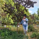 ���� �����, ������, 62 ���� - ��������� 6 ������ 2020 � ������ ���� ����������