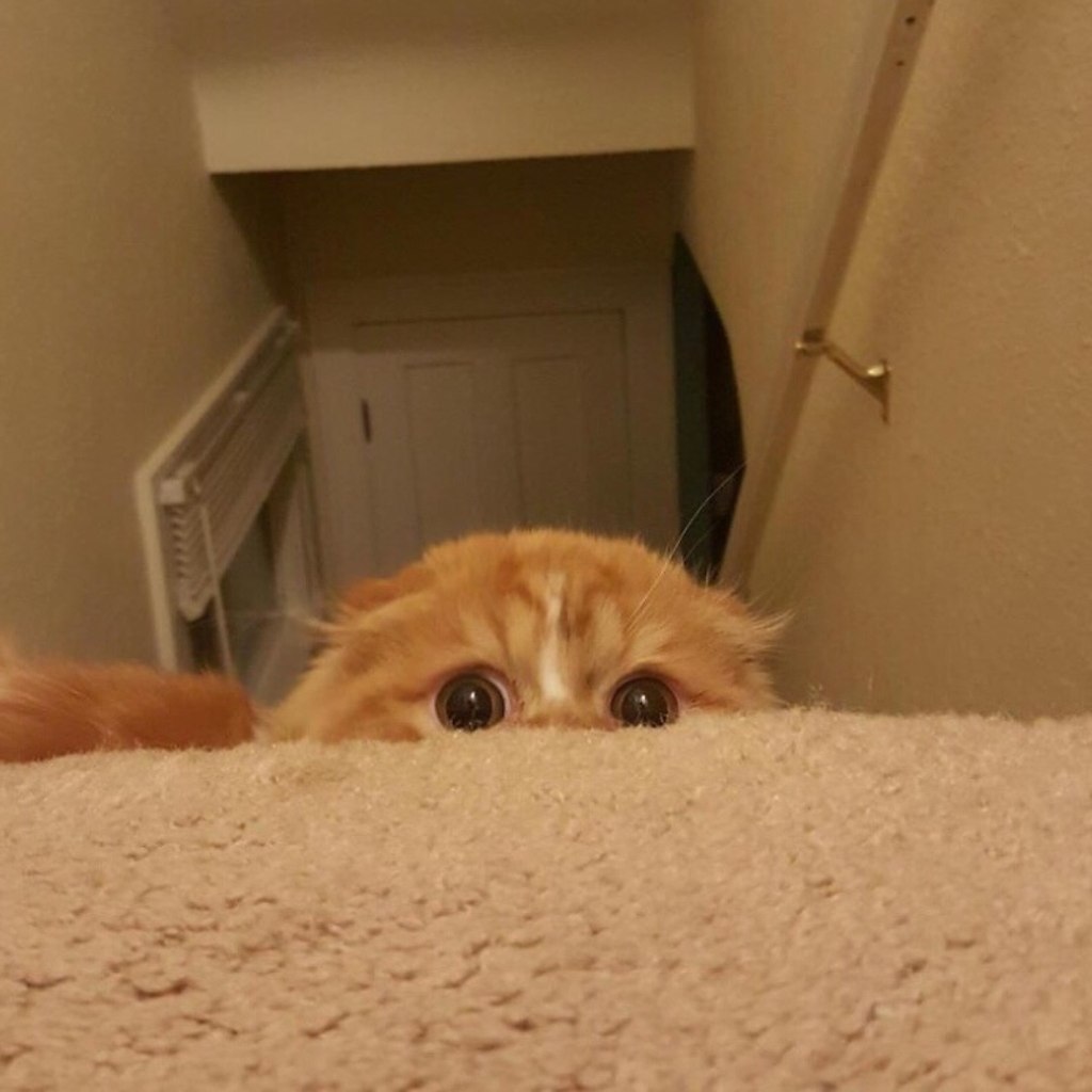 oayc, poec, o a ao! oco o x eoe aaee. - 4