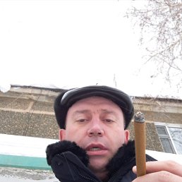 �������, ������, 46 ���