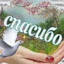 ���� ***��������***, �������, 49 ��� - ��������� 17 ����� 2020 � ������ ���� ����������