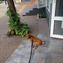 ���� ����, ���������, 47 ��� - ��������� 28 ������ 2020 � ������ ���� ����������