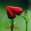 ���� ����, �����-��������� - ��������� 14 ���� 2020 � ������ ������ ��������
