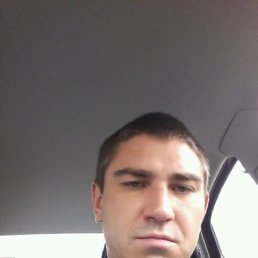 �����, �����-���������, 40 ���