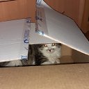 ���� ��������, �����������, 52 ���� - ��������� 27 ������ 2020 � ������ ���� ����������