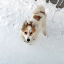 ���� ���������, ��������, 35 ��� - ��������� 5 ������� 2020 � ������ �������