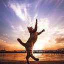 ���� ����, �����������-��-����� - ��������� 31 ��� 2020 � ������ ���� ����������