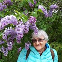 ���� �������, �����-���������, 81 ��� - ��������� 11 ���� 2020 � ������ ���� ����������