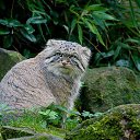 ���� Lara, ������� - ��������� 20 ����� 2020 � ������ �������