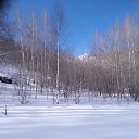 ���� �����������, ���������, 66 ��� - ��������� 25 ������� 2020 � ������ ���� ����������