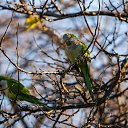 ���� ������, ������ - ��������� 3 ������ 2020 � ������ ����������