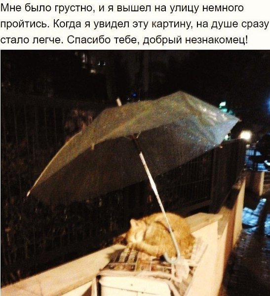 10 сильных фотографий, которые растрогают кого угодно - 4