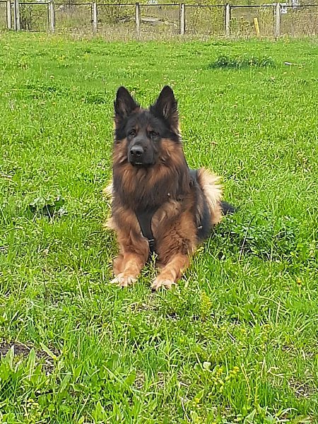   ,    . - 28  2020  21:04