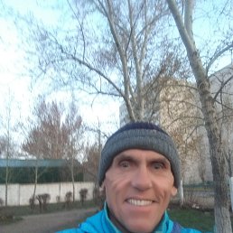 �������, ��������, 66 ���