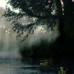 ���� R, ������, 47 ��� - ��������� 4 ��� 2020