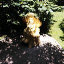 ���� ������, ����, 51 ��� - ��������� 15 ������ 2020 � ������ �������