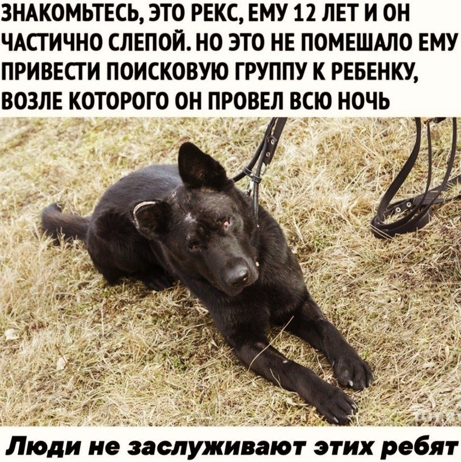 LIFE - ������� - 7 ������ 2020 � 19:02