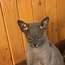 �����, ������, 47 ���