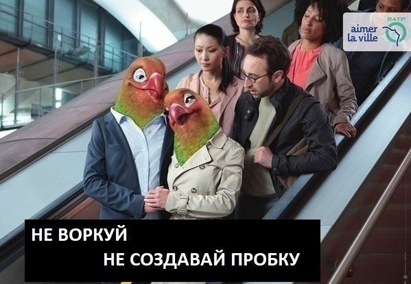   ,       !    ... - 5