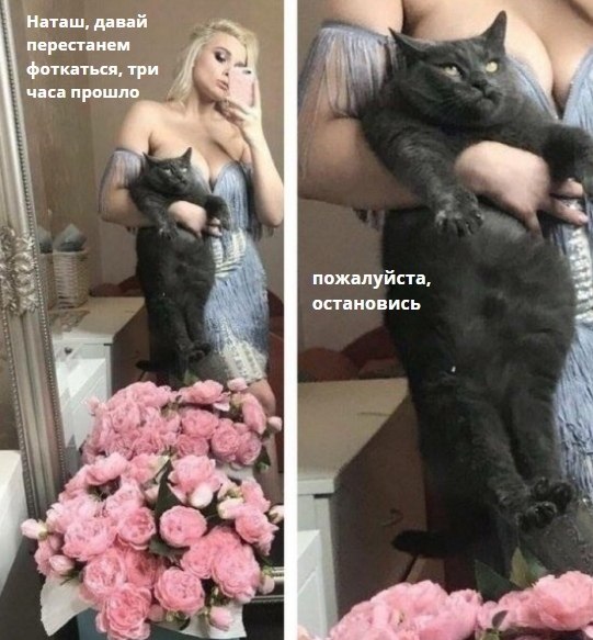 ,   -   