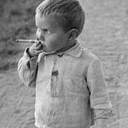 �������, 41 ���, ����