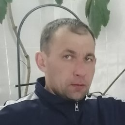 ����, ������